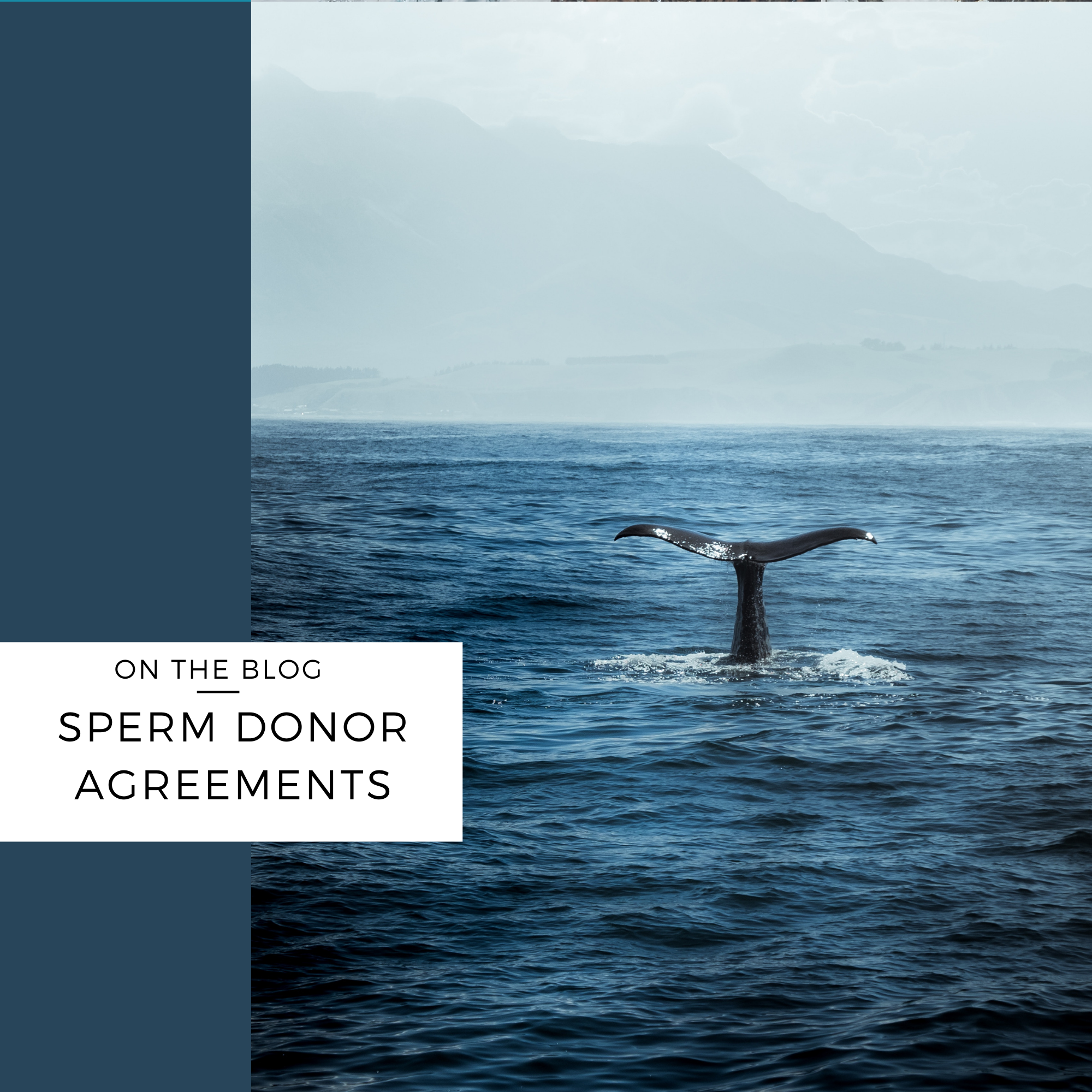 sperm donor agreement