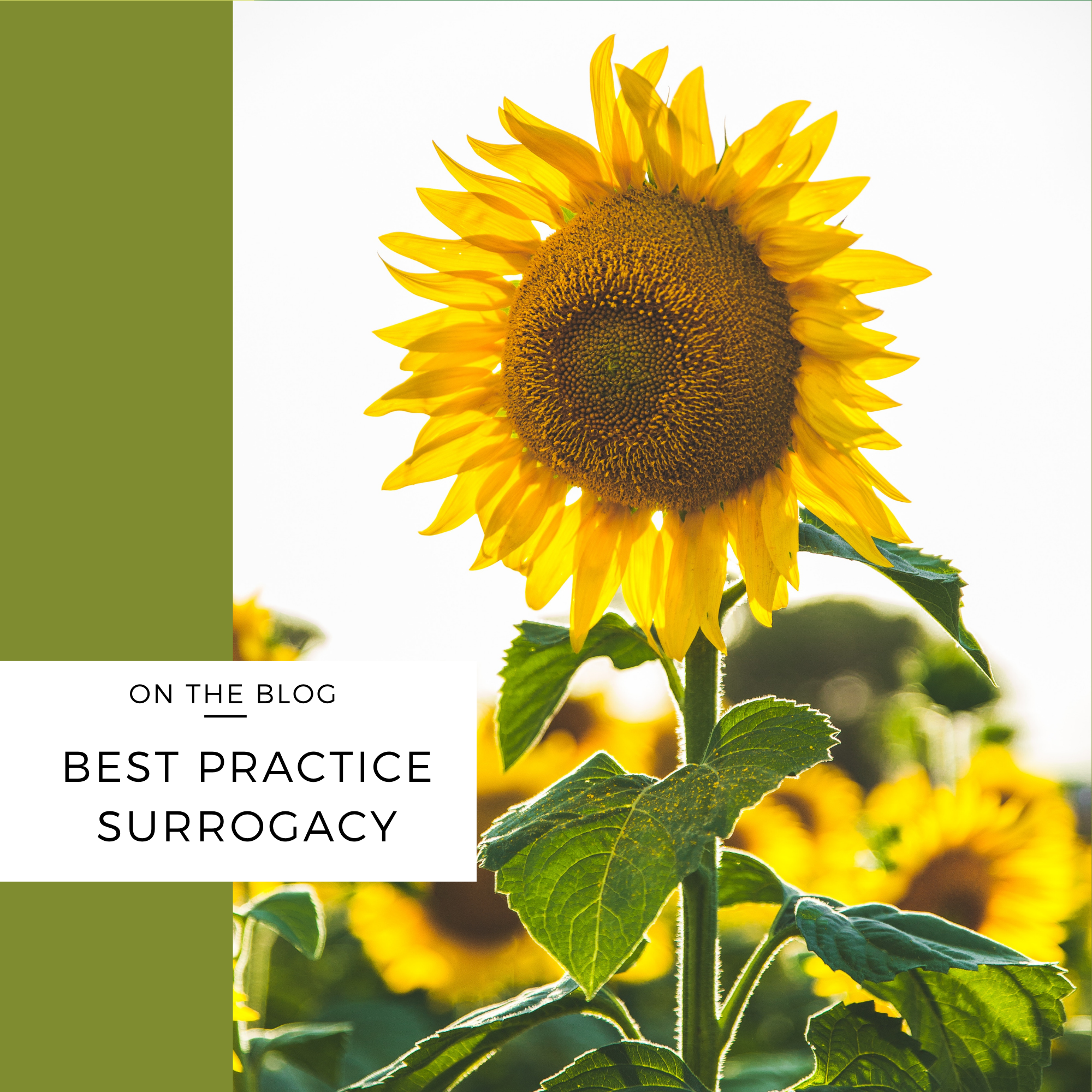 best practice surrogacy