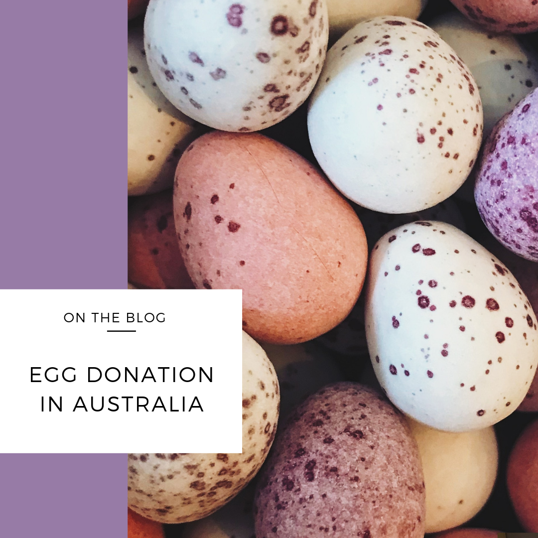 egg donation australia