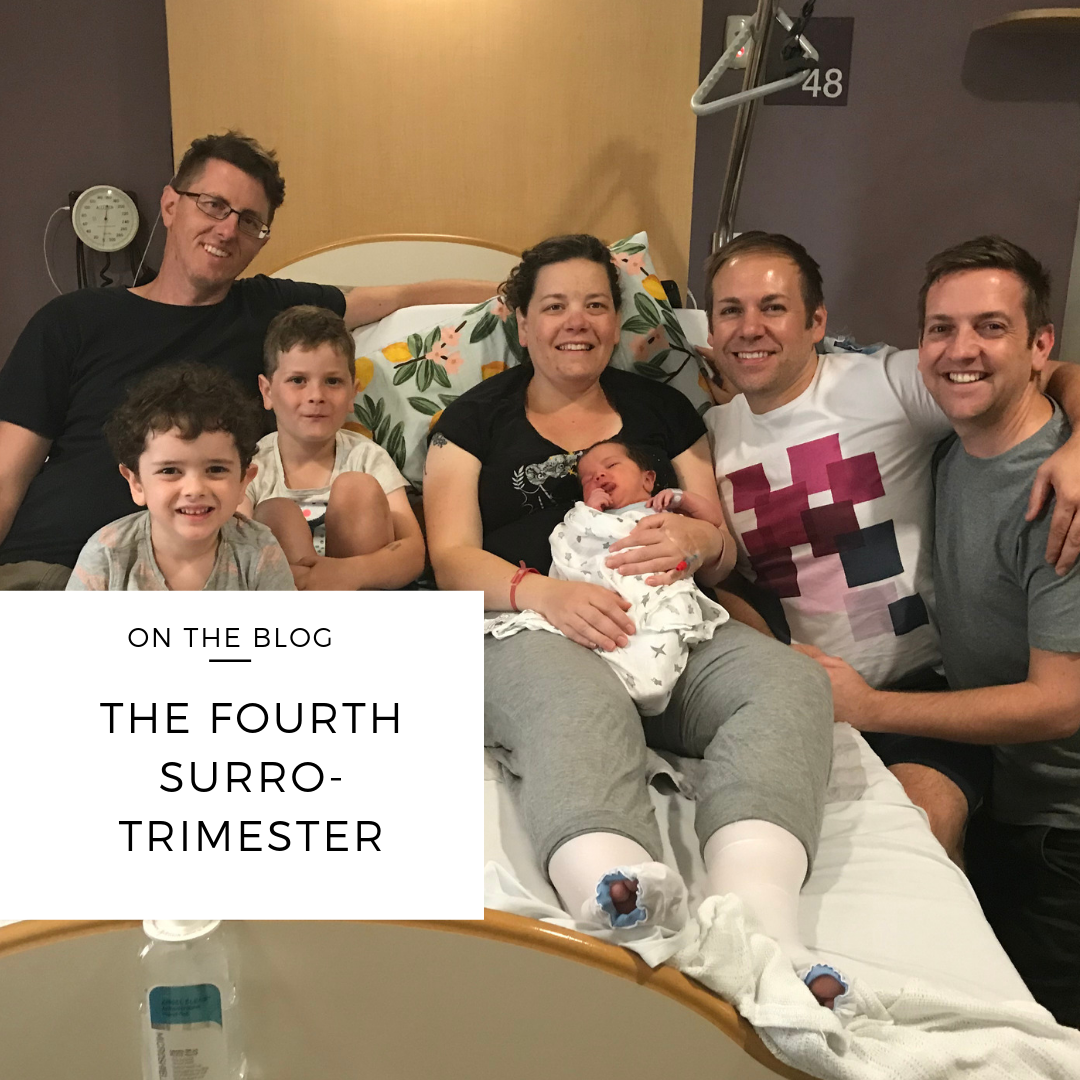 the fourth trimester