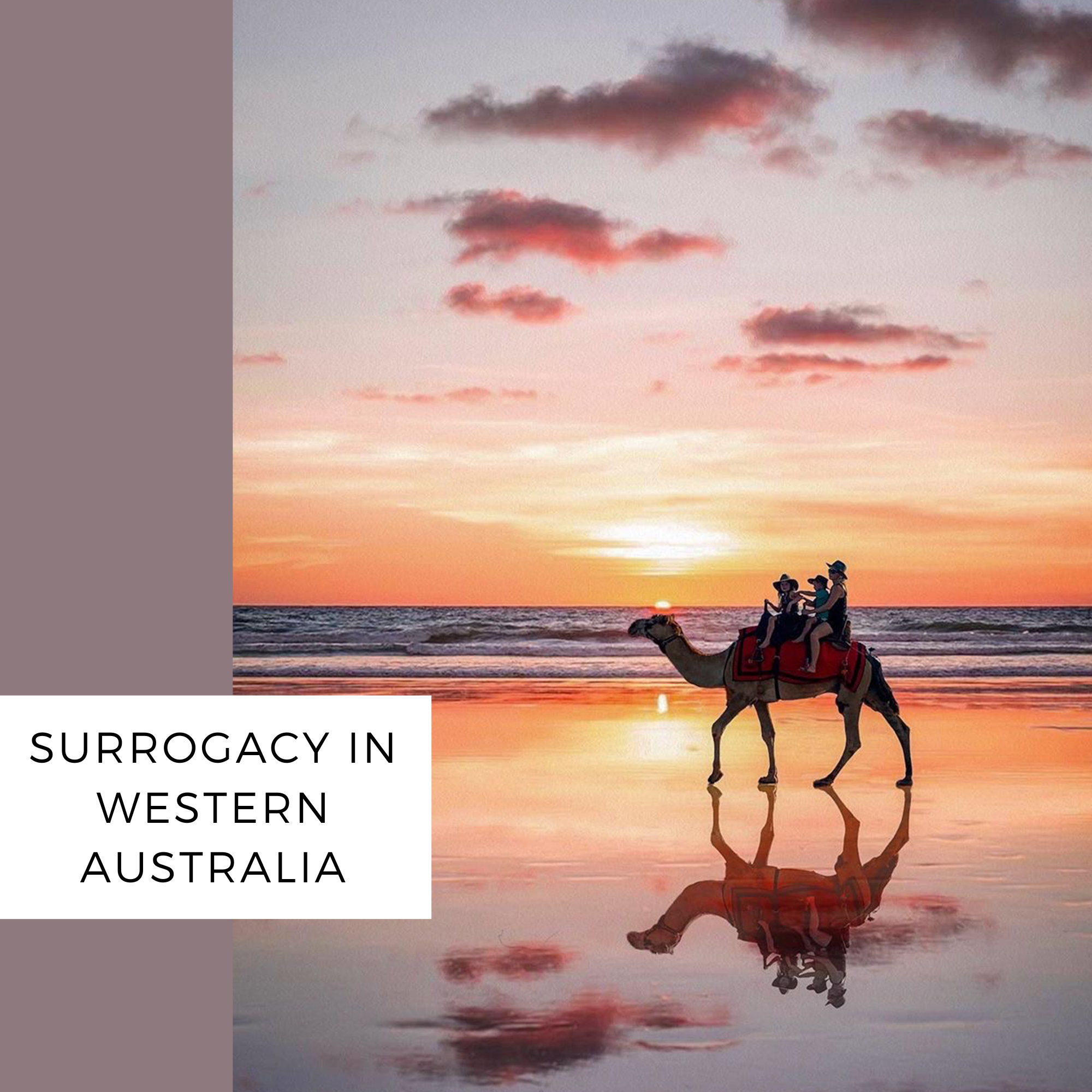 surrogacy western australia