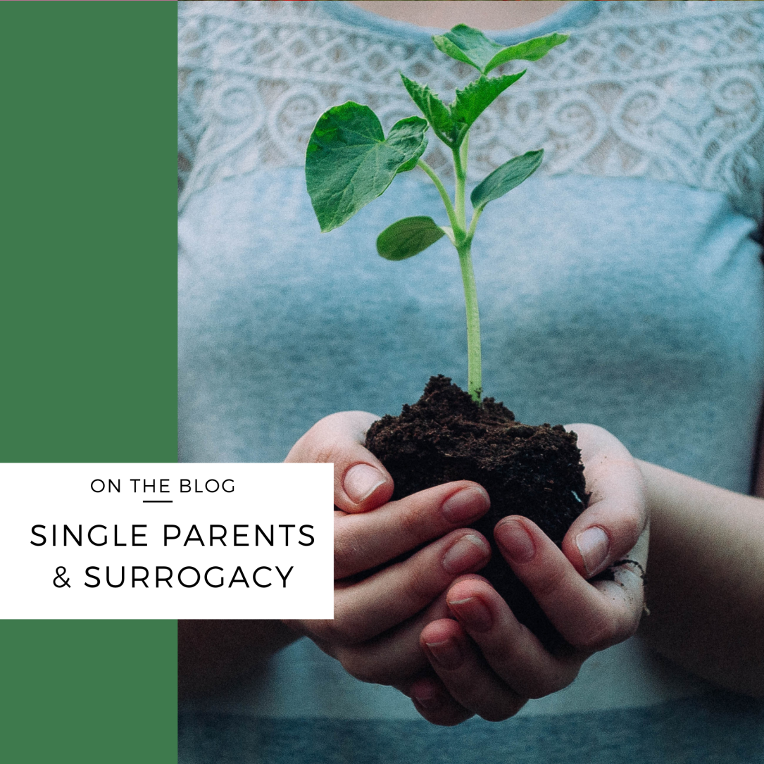 single surrogacy