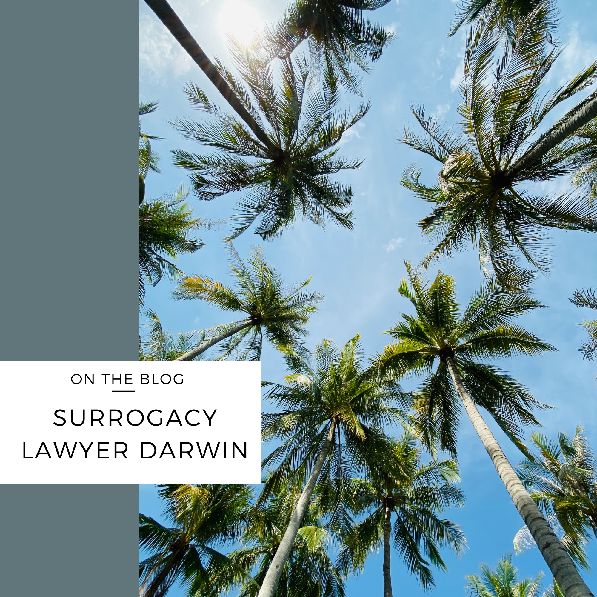 surrogacy lawyer darwin