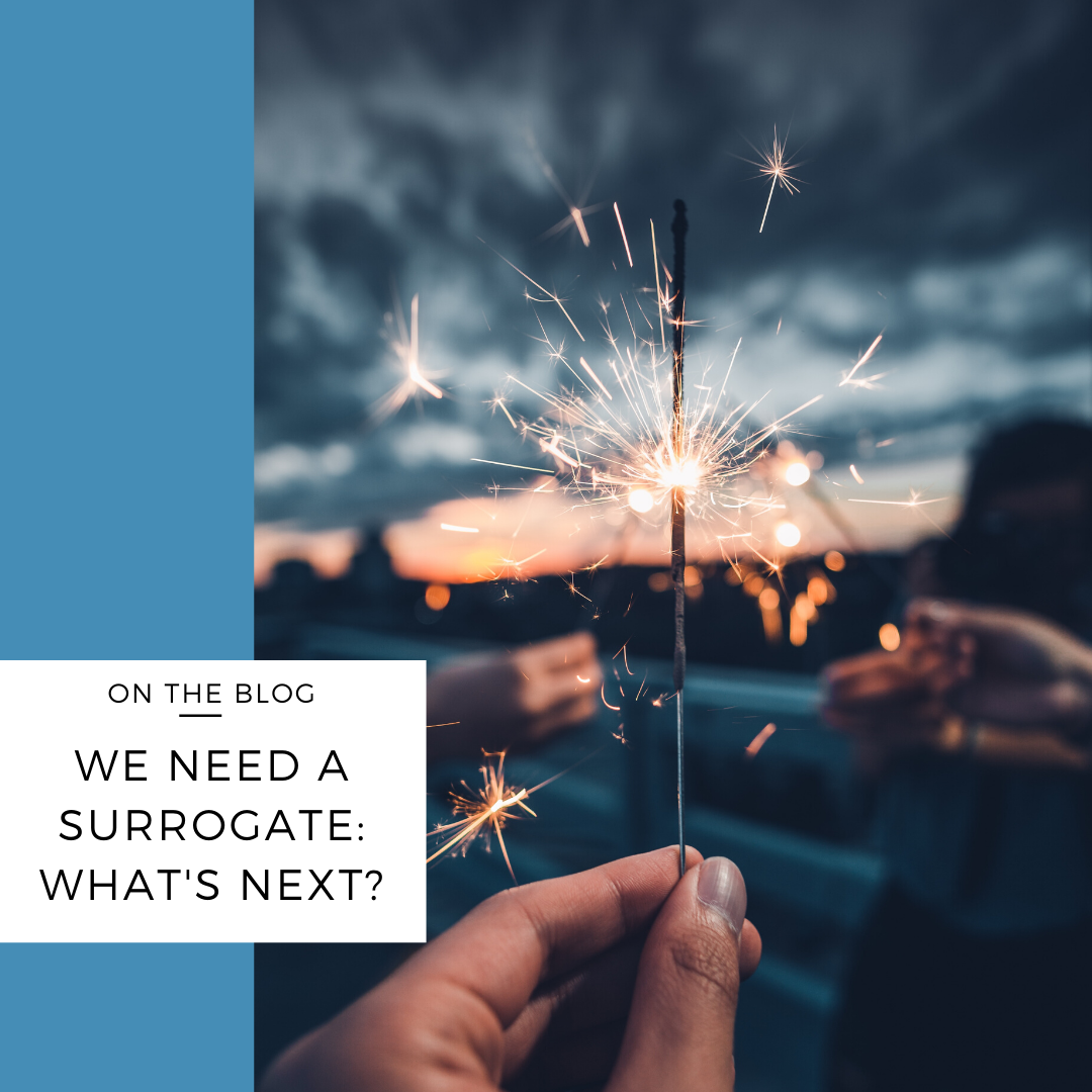 we need a surrogate
