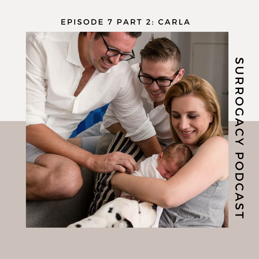 traditional surrogacy