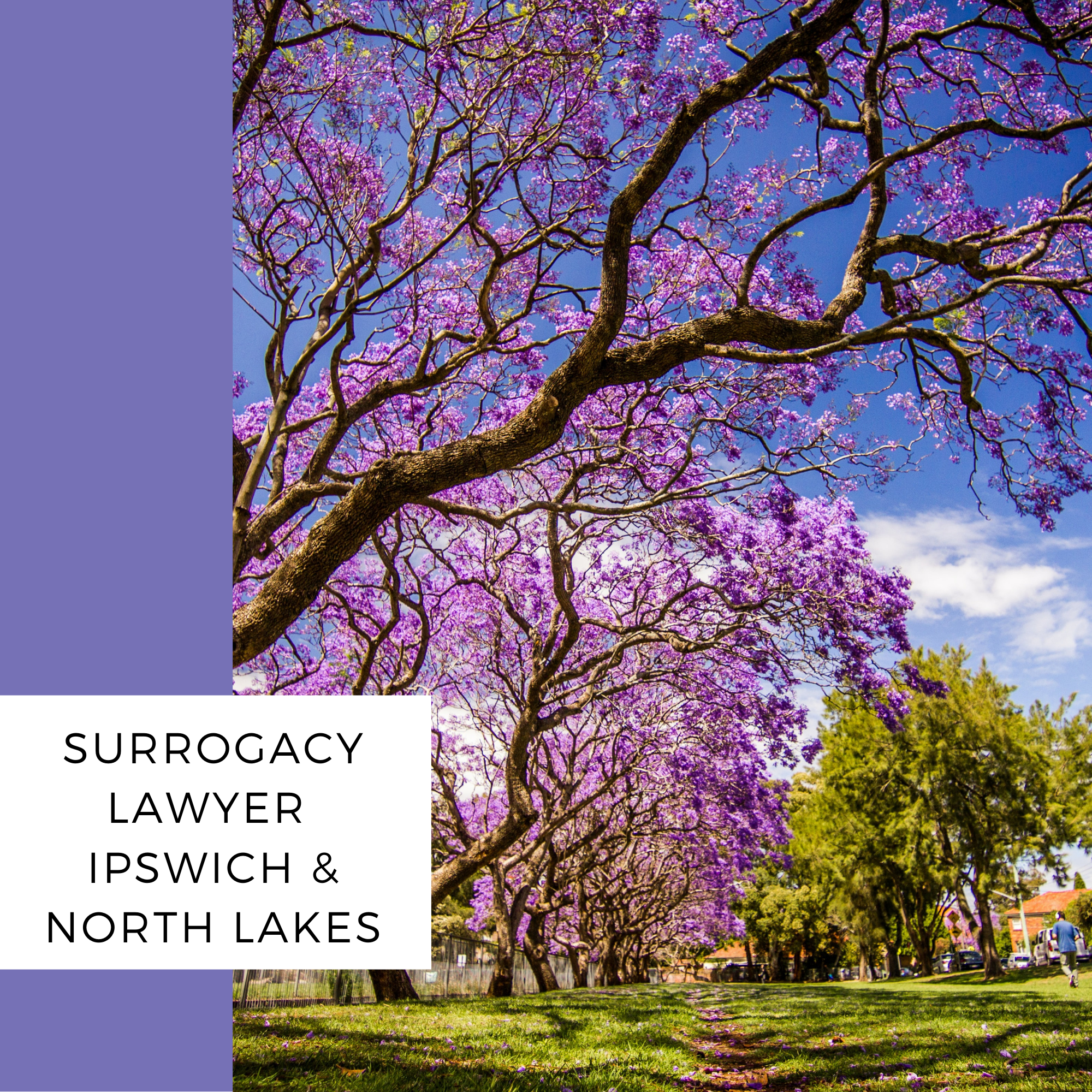 surrogacy lawyer ipswich north lakes