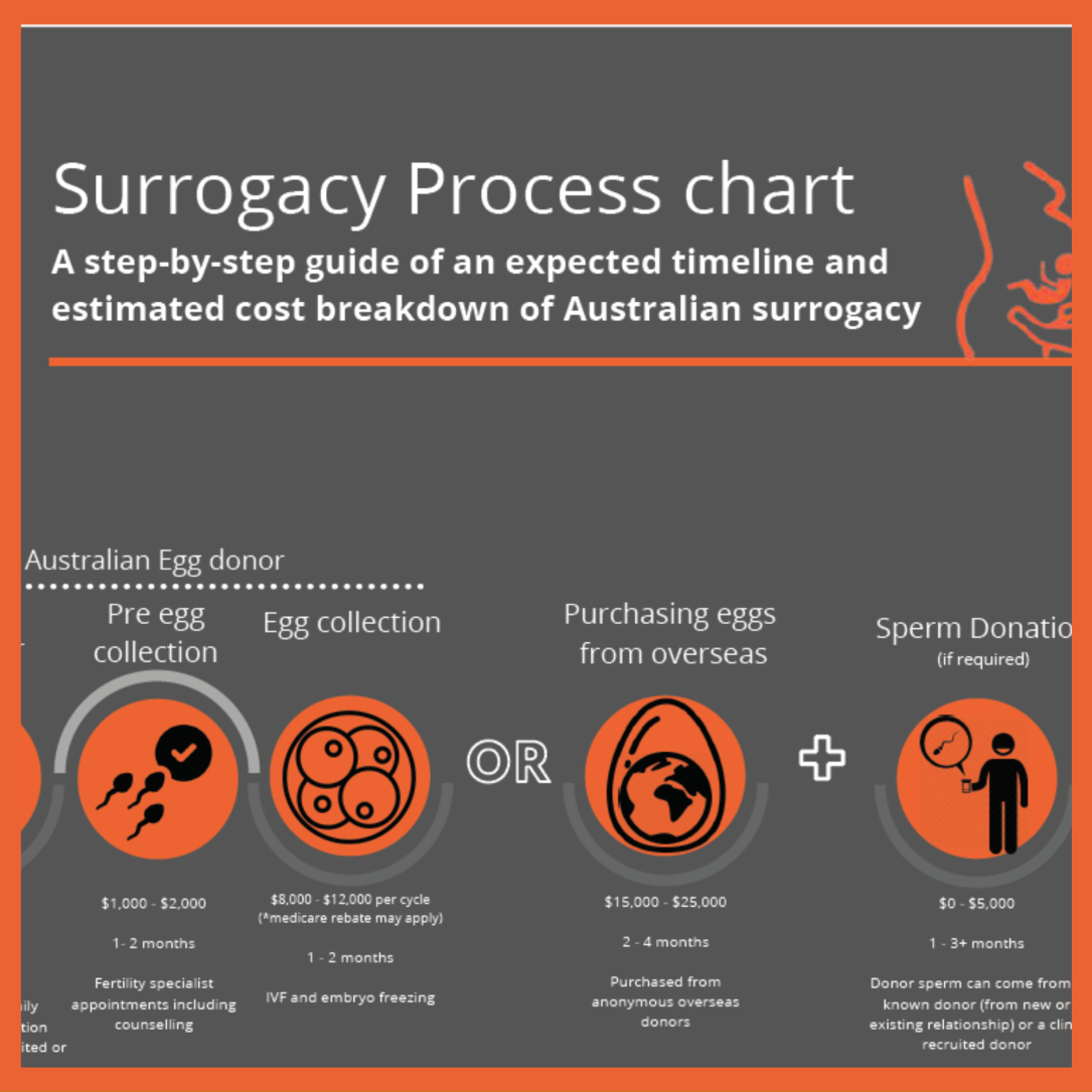 surrogacy process