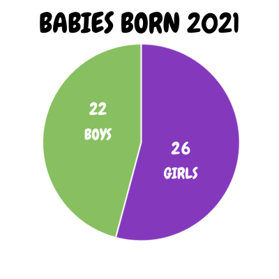 surrogacy births 2021