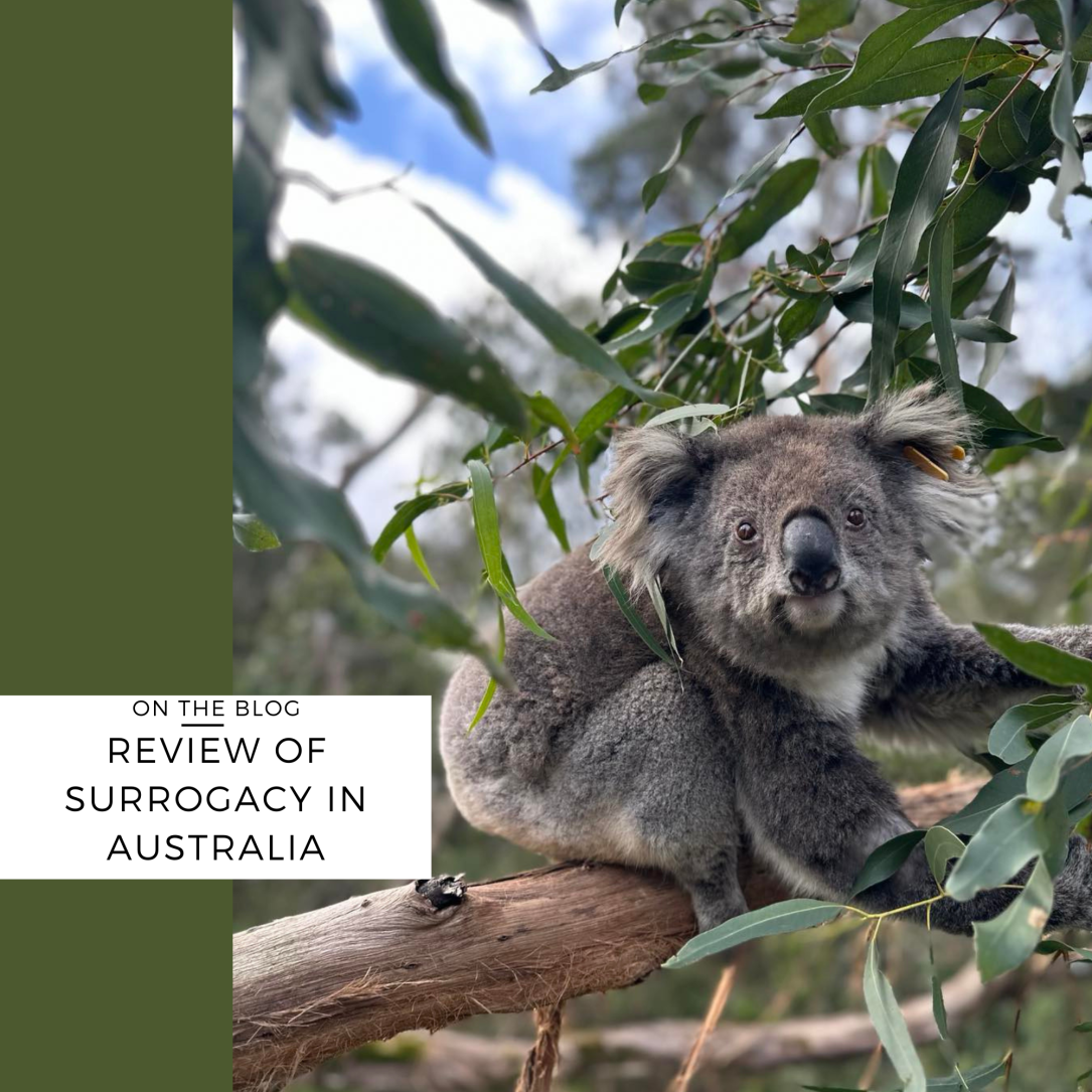 australia's surrogacy laws