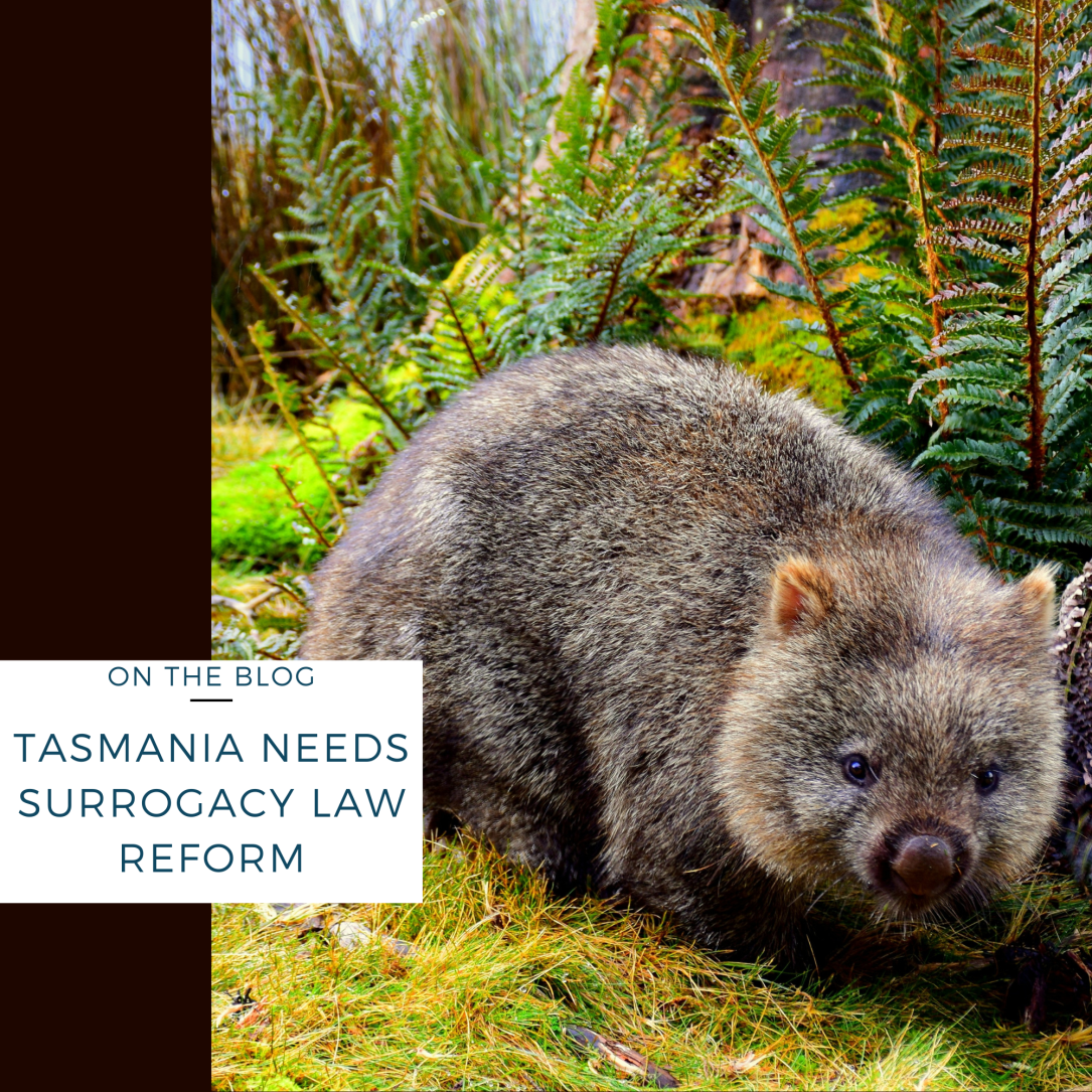 tasmania needs surrogacy reform