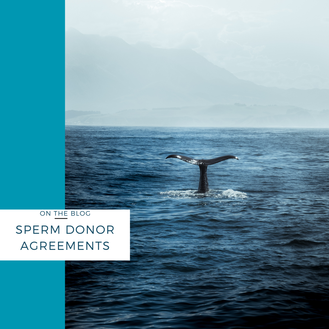 sperm donor agreements
