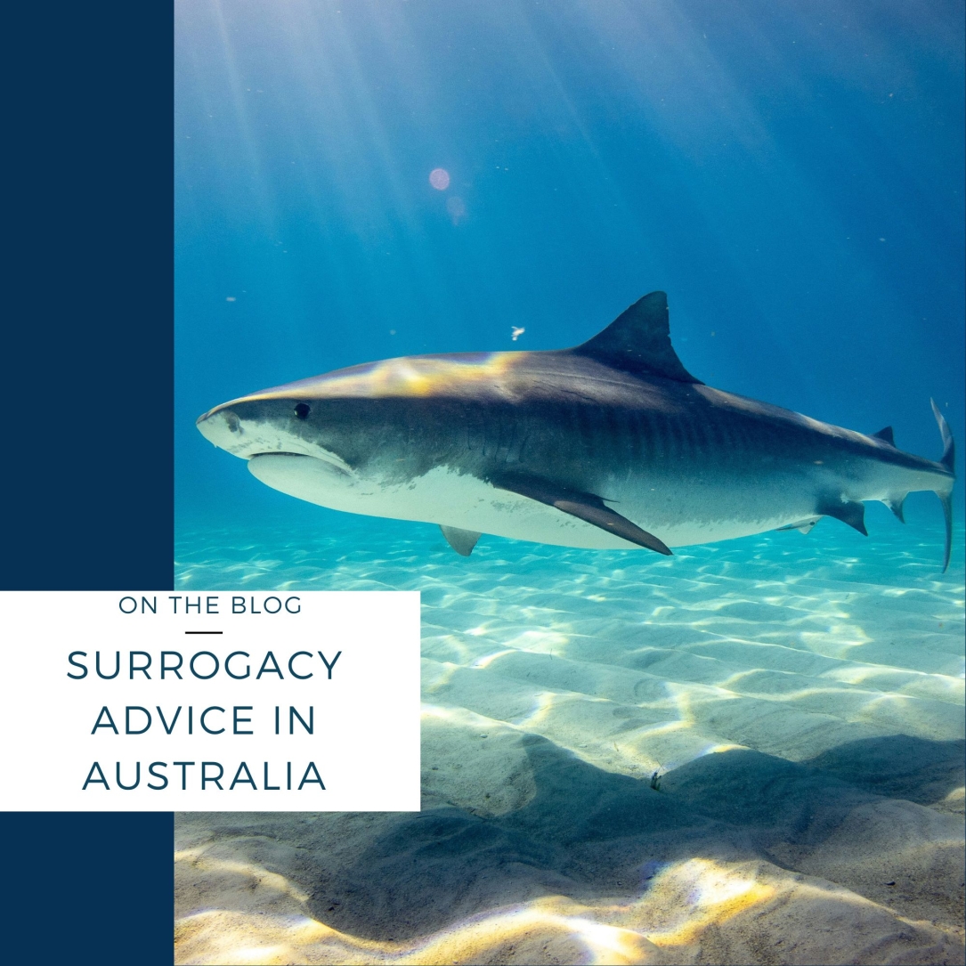surrogacy australia advice